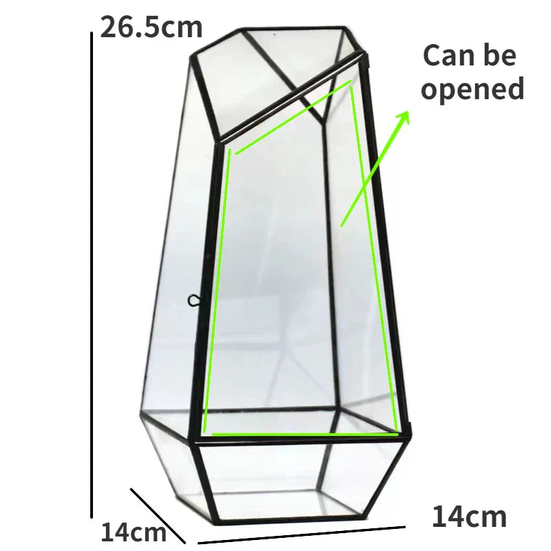 Beautiful Mini Indoor Glass Terrarium