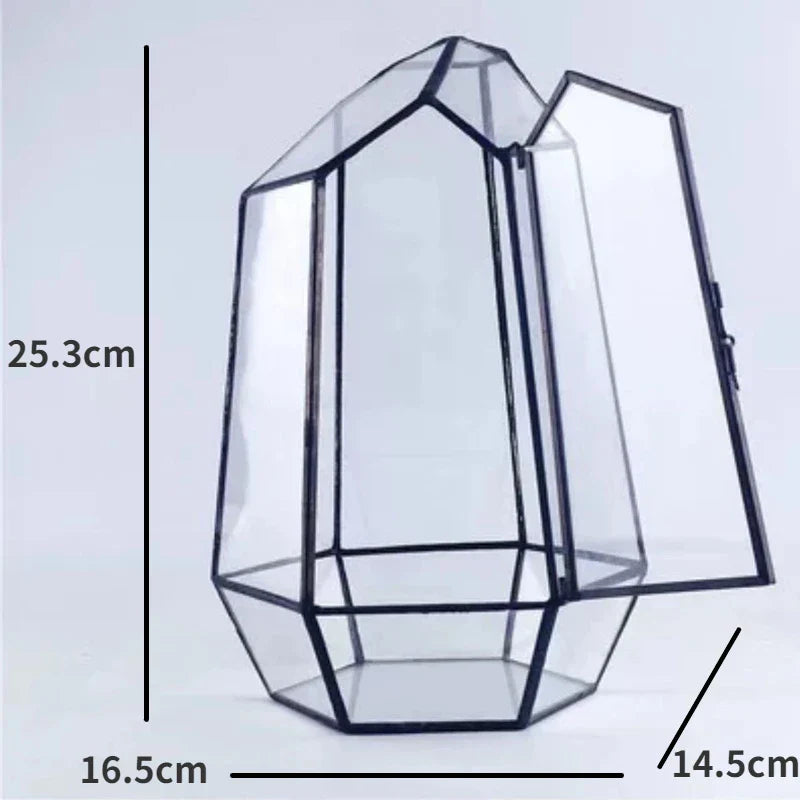 Beautiful Mini Indoor Glass Terrarium