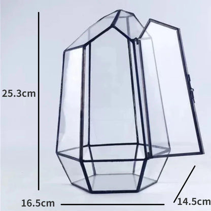 Beautiful Mini Indoor Glass Terrarium