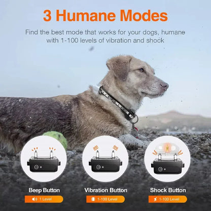 Waterproof Remote Dog Trainer Collar with Long Range Control