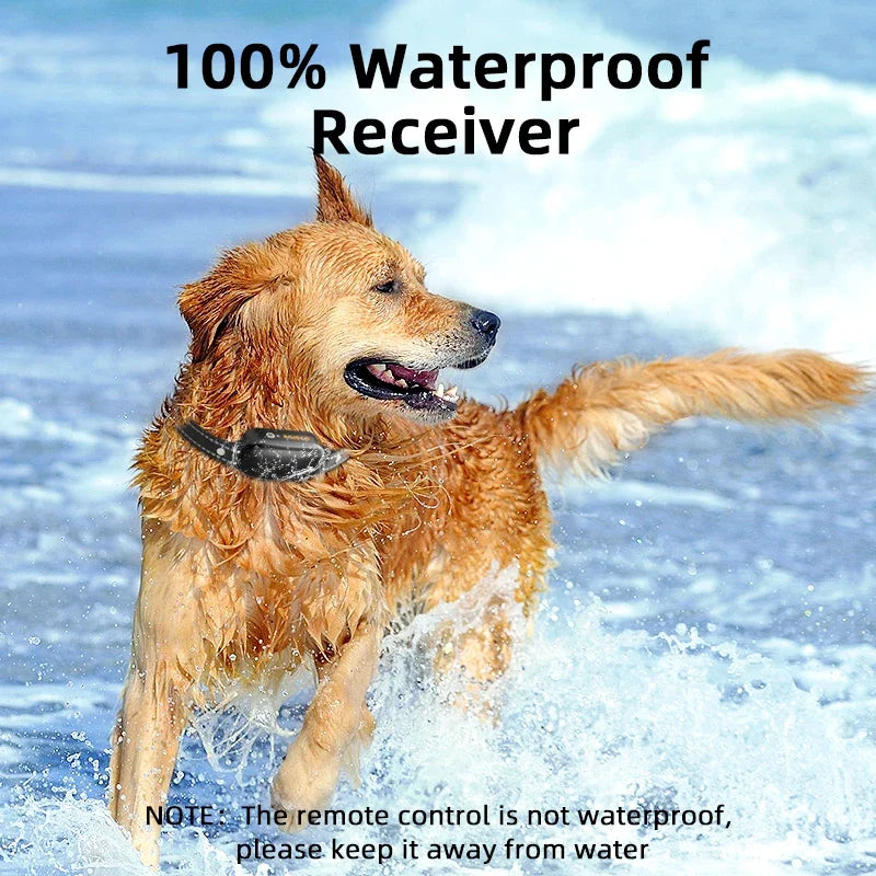 Waterproof Remote Dog Trainer Collar with Long Range Control