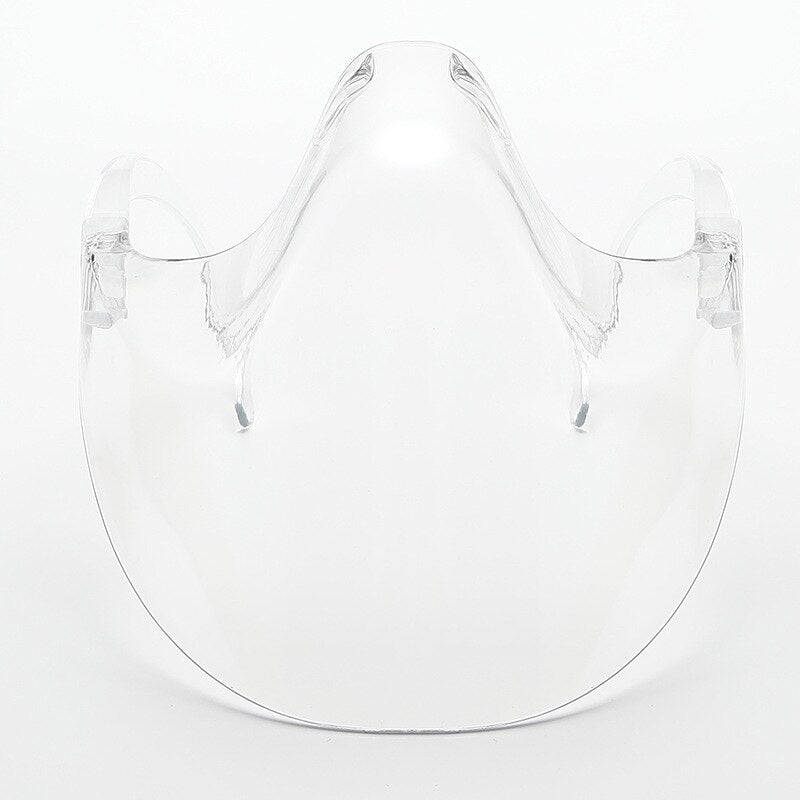 Transparent Full Face Guard Protector