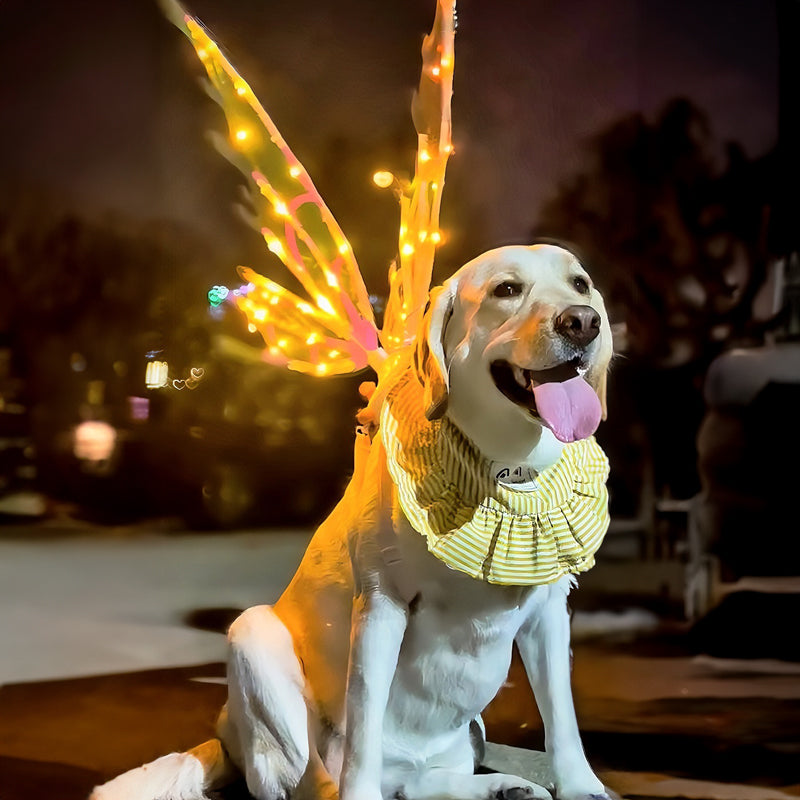 Bright LED Wing Costume for Kids and Adults