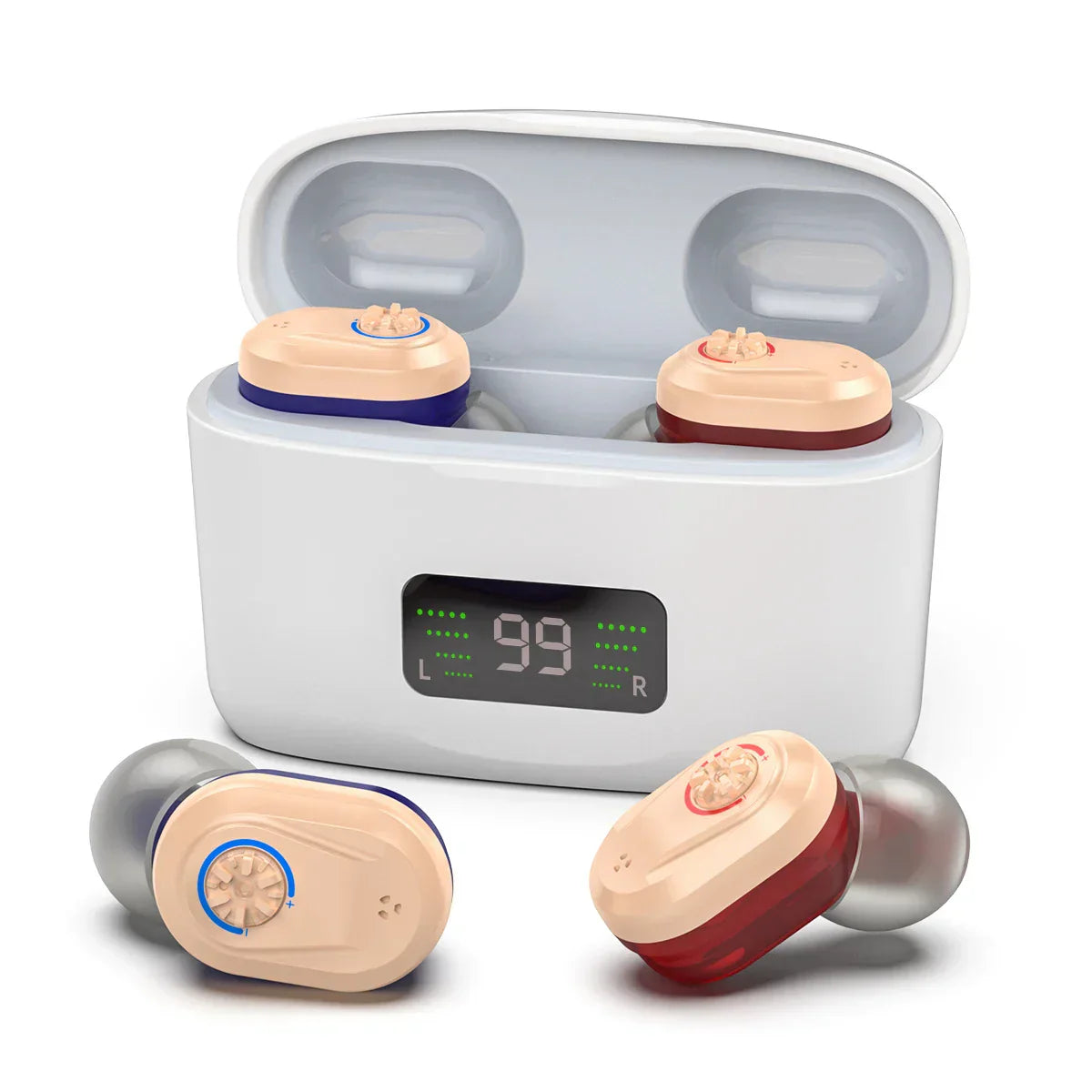 Compact Digital Hearing Aid with Noise Cancellation