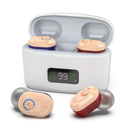 Compact Digital Hearing Aid with Noise Cancellation