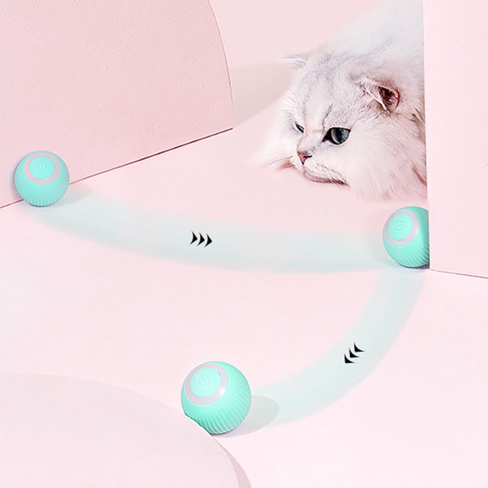 Fun Interactive Automatic Pet Ball - Pexav