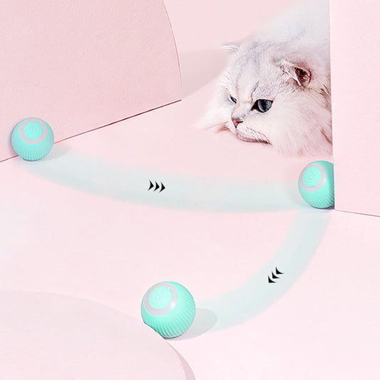 Fun Interactive Automatic Pet Ball - Pexav