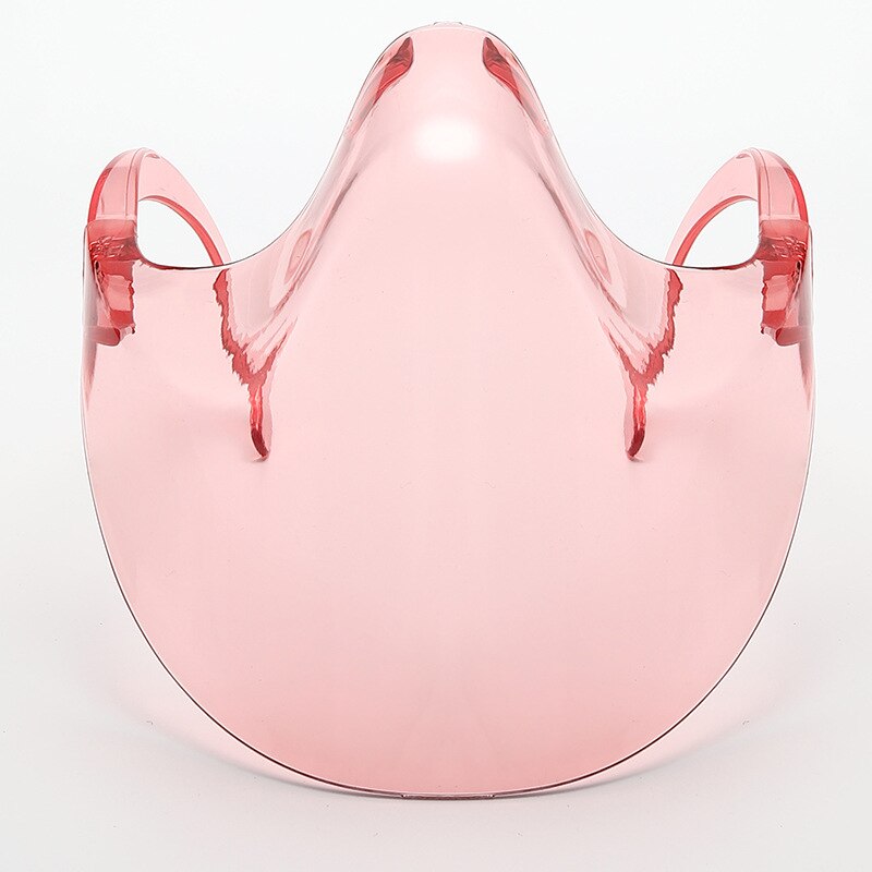 Transparent Full Face Guard Protector