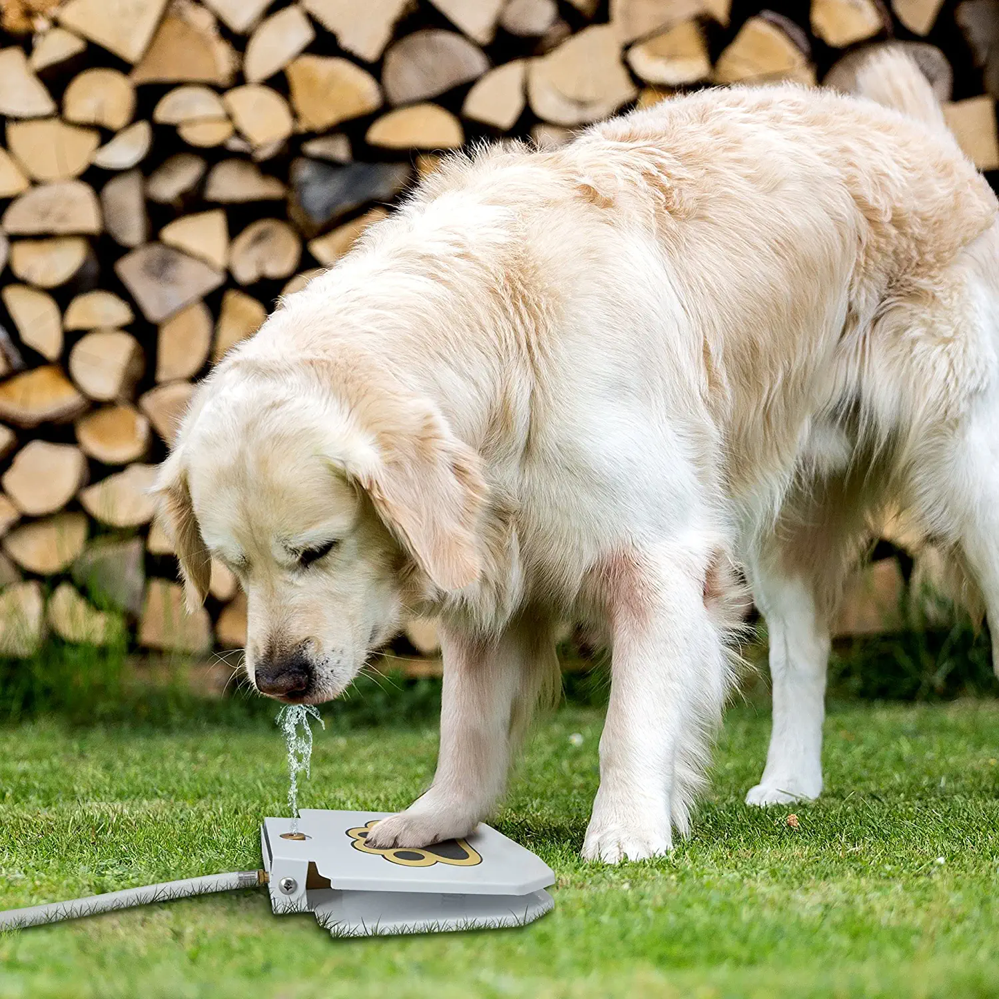 Automatic Paw Activated Pet Water Fountain Sprinkler