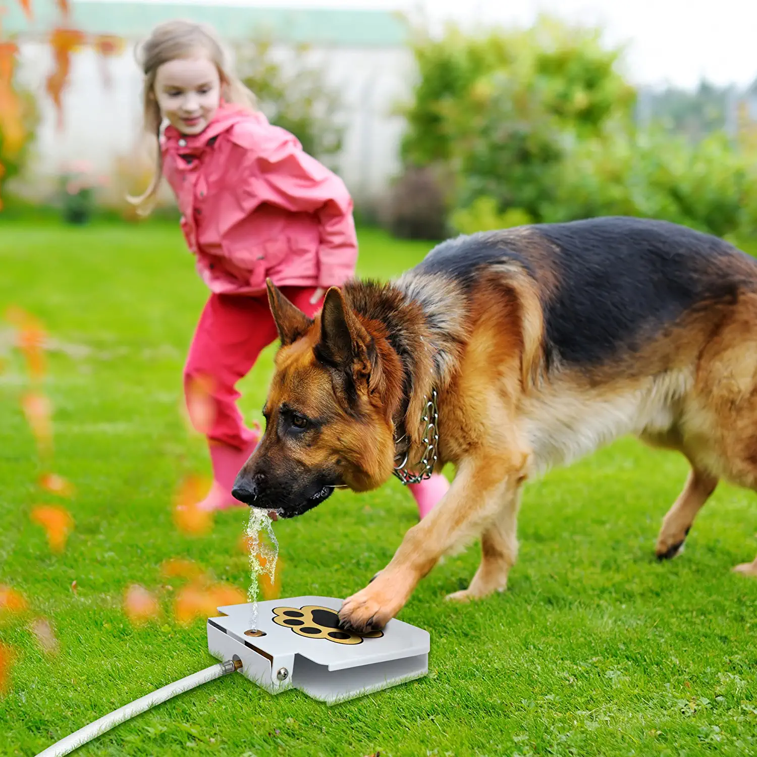 Automatic Paw Activated Pet Water Fountain Sprinkler - Pexav