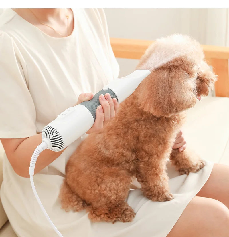 Pet Hair Dryer and Grooming Tool Kit - Pexav