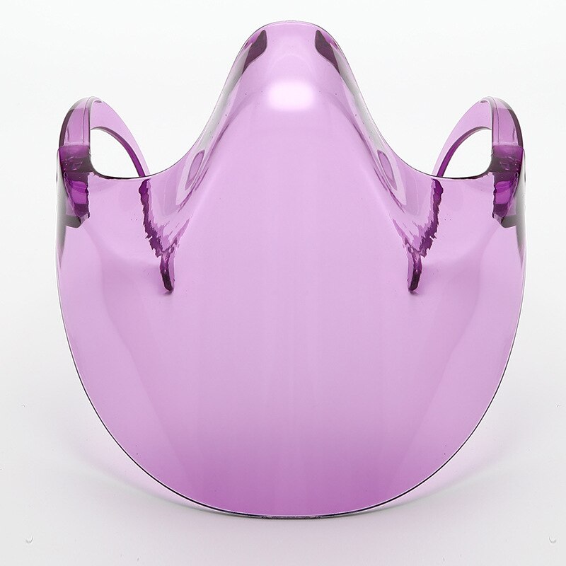 Transparent Full Face Guard Protector