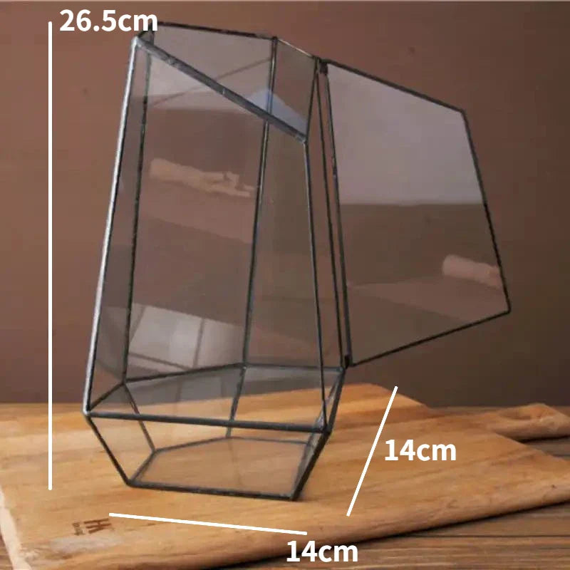 Beautiful Mini Indoor Glass Terrarium