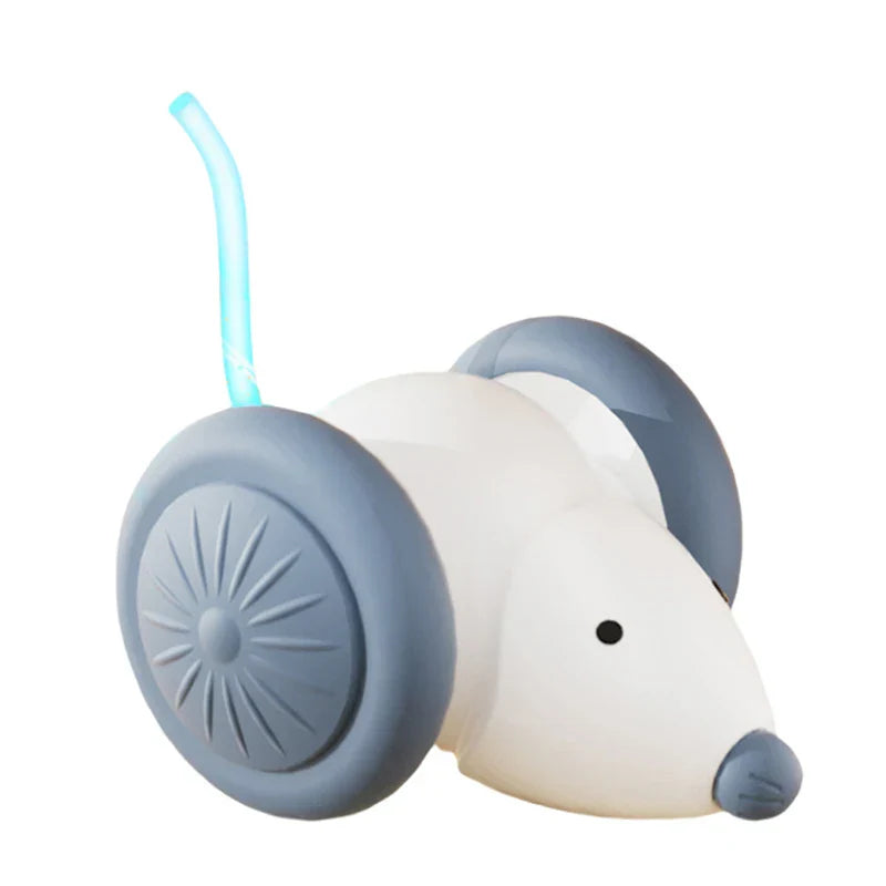 Fun Electronic Pet Mouse Toy