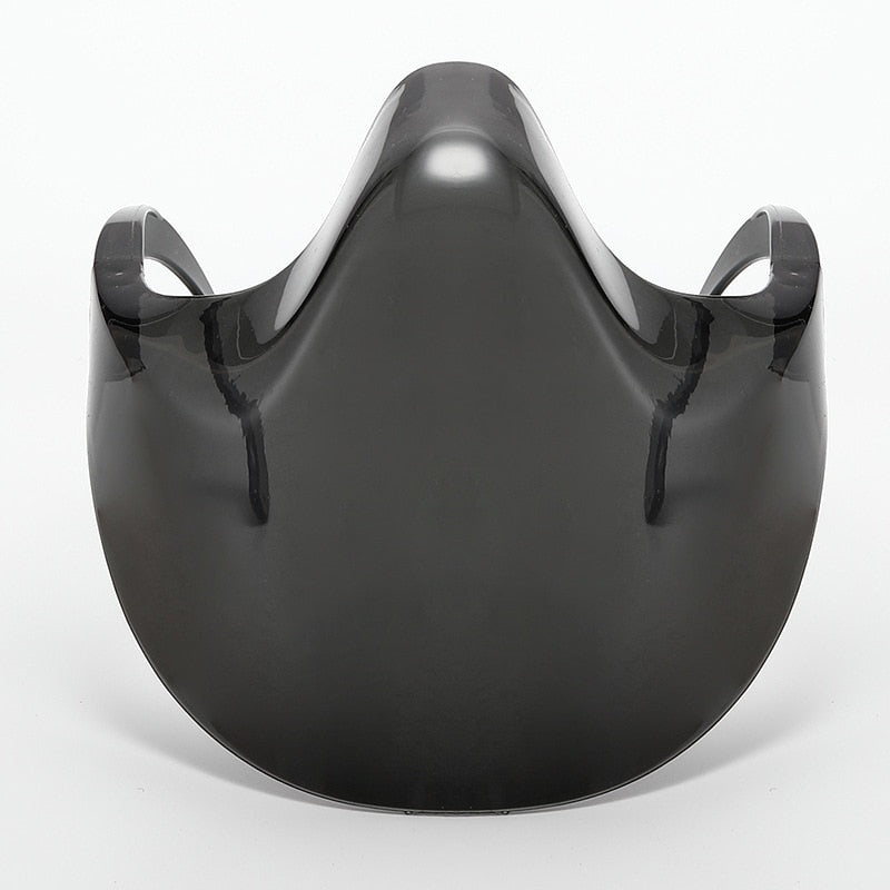 Transparent Full Face Guard Protector
