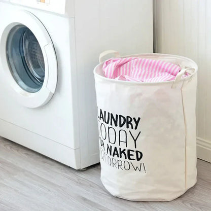 Collapsible Laundry Hamper & Organizer
