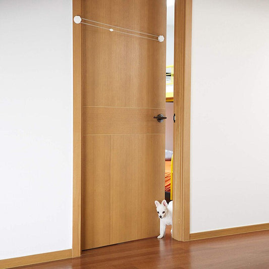 Easy Auto Pet Door Access System - Pexav