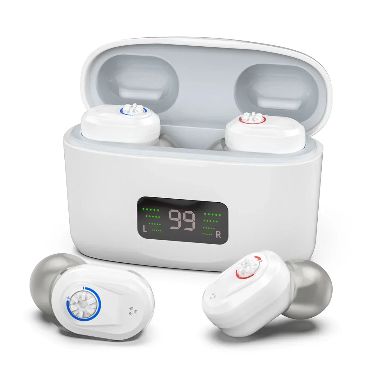 Compact Digital Hearing Aid with Noise Cancellation