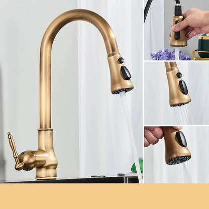 Classic Gold Finish Kitchen Faucet