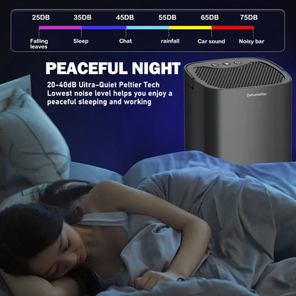 Compact 2-in-1 Dehumidifier with Air Purifier & LED Light