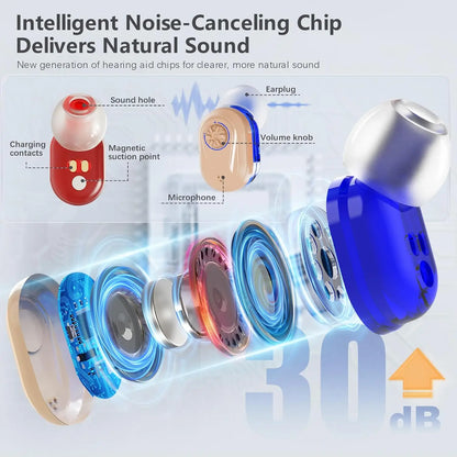 Compact Digital Hearing Aid with Noise Cancellation