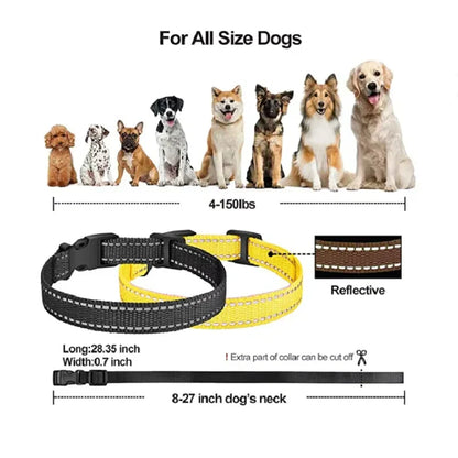 Waterproof Remote Dog Trainer Collar with Long Range Control