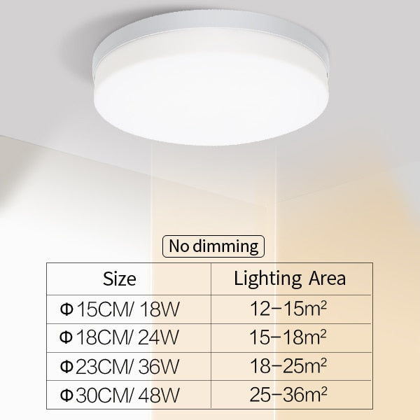 Elegant Home Slim LED Ceiling Lamp