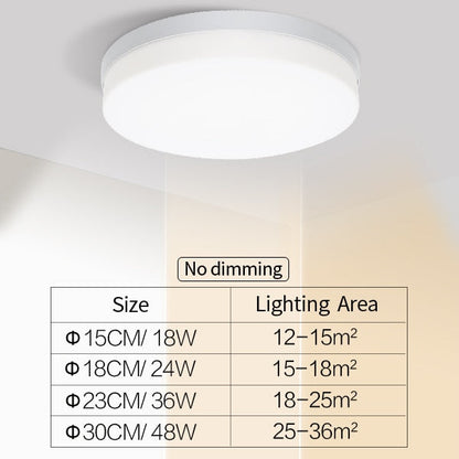 Elegant Home Slim LED Ceiling Lamp