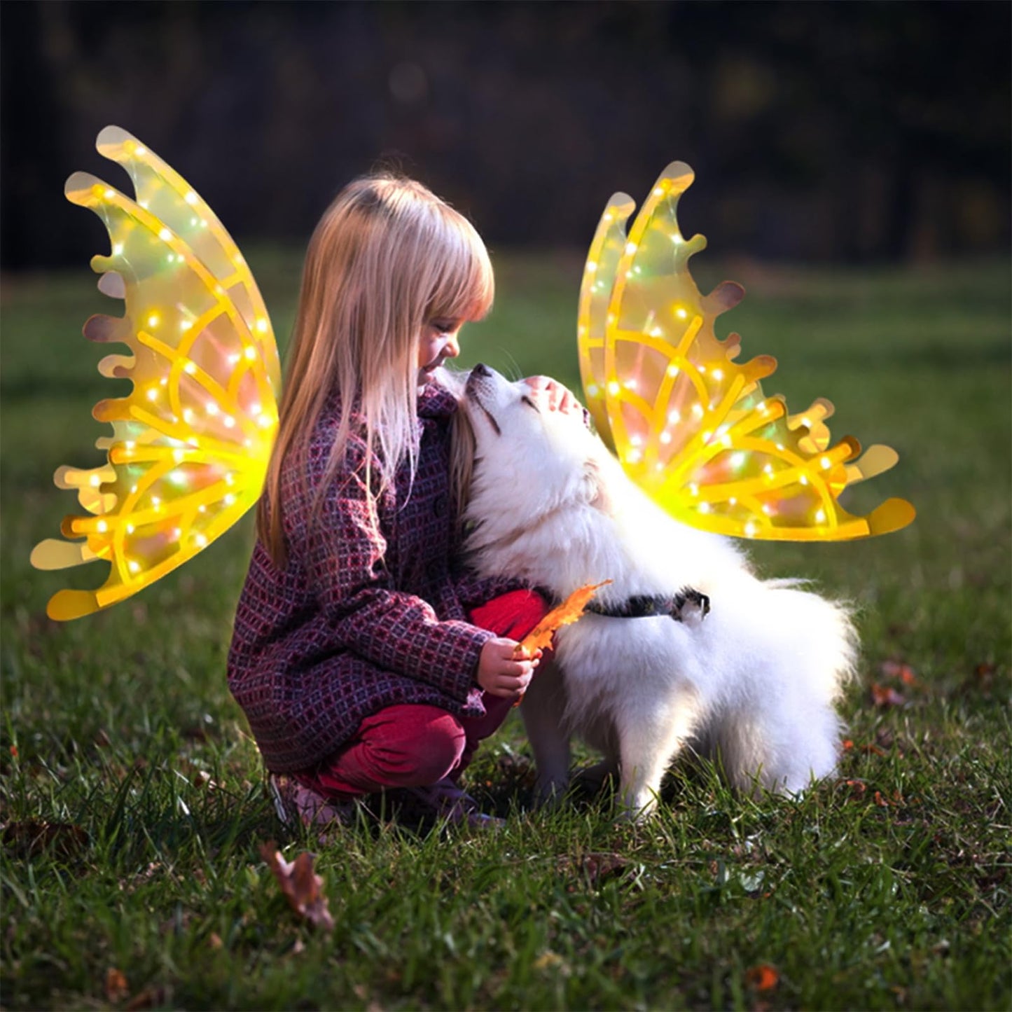 Bright LED Wing Costume for Kids and Adults