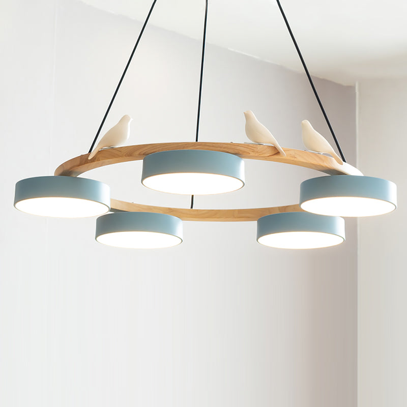 Beautiful Round Pendant LED Ceiling Light Fixture