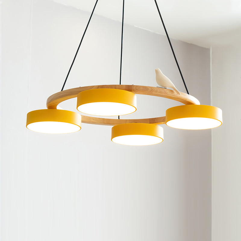 Beautiful Round Pendant LED Ceiling Light Fixture
