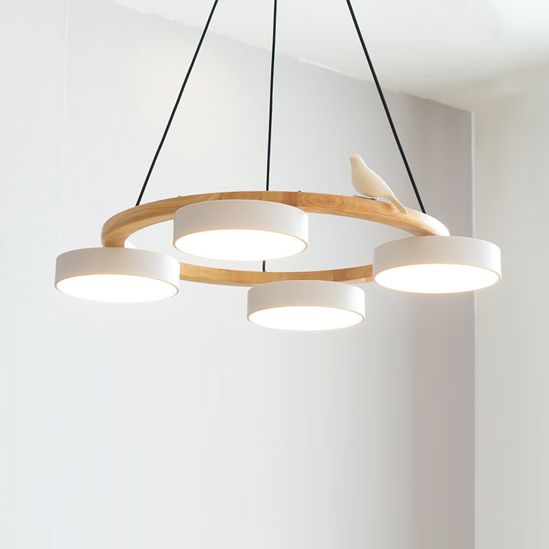 Beautiful Round Pendant LED Ceiling Light Fixture