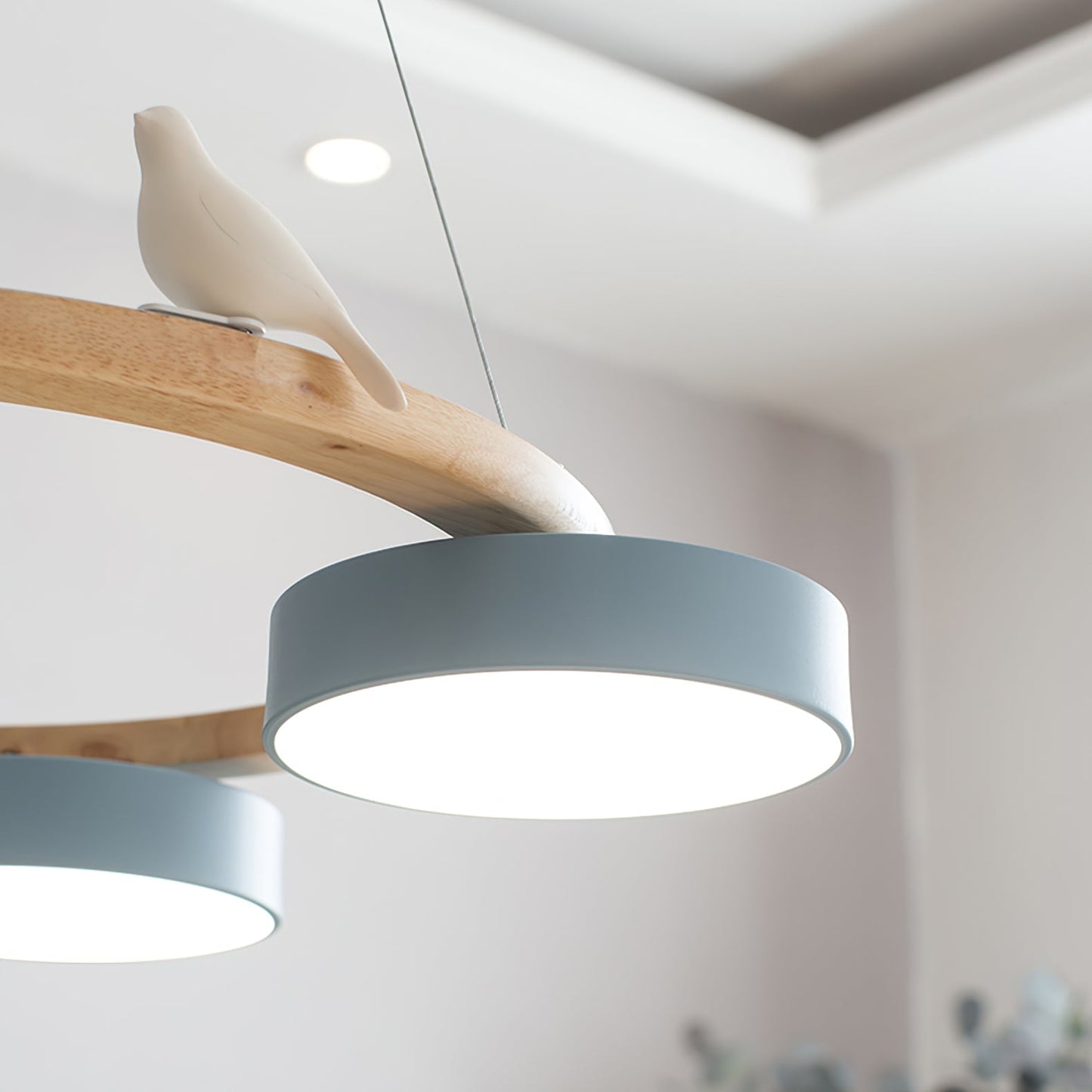 Beautiful Round Pendant LED Ceiling Light Fixture
