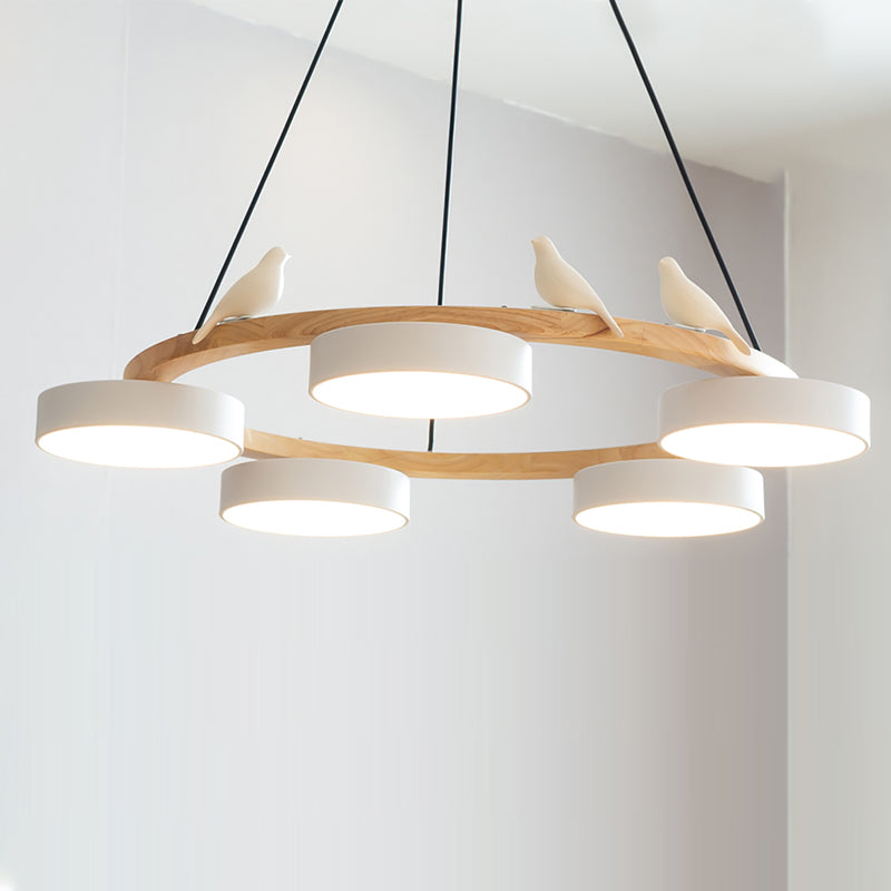 Beautiful Round Pendant LED Ceiling Light Fixture