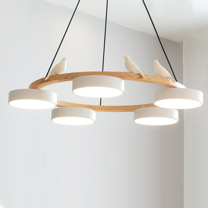 Beautiful Round Pendant LED Ceiling Light Fixture