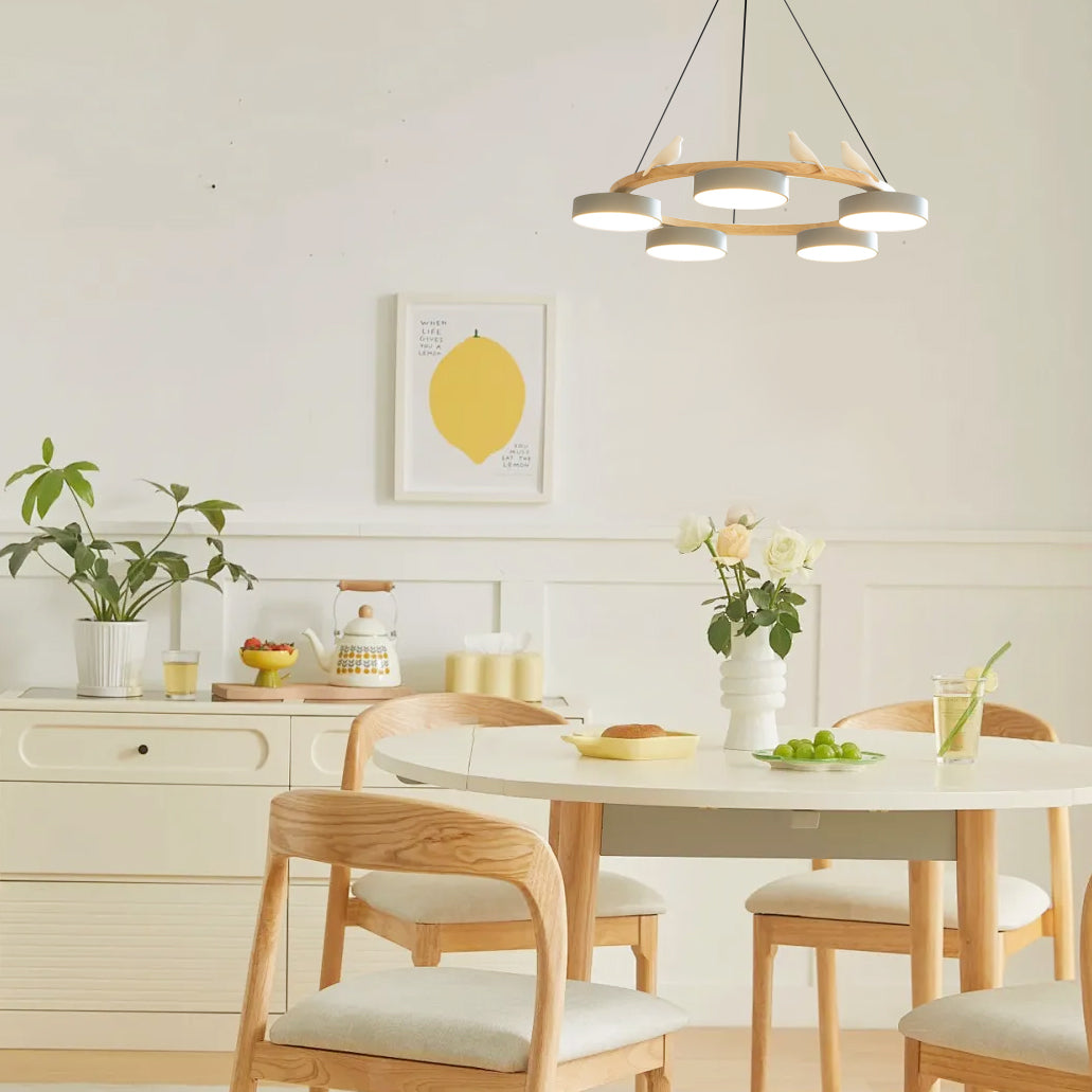 Beautiful Round Pendant LED Ceiling Light Fixture