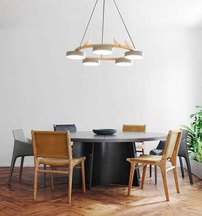 Beautiful Round Pendant LED Ceiling Light Fixture
