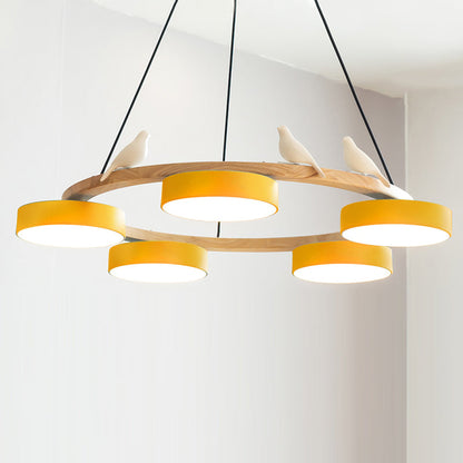 Beautiful Round Pendant LED Ceiling Light Fixture