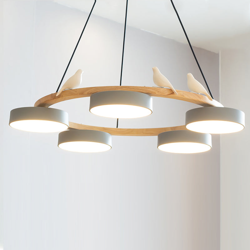 Beautiful Round Pendant LED Ceiling Light Fixture