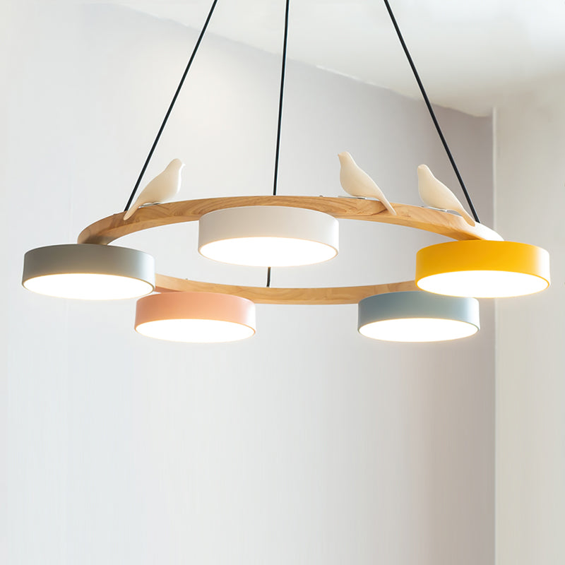 Beautiful Round Pendant LED Ceiling Light Fixture