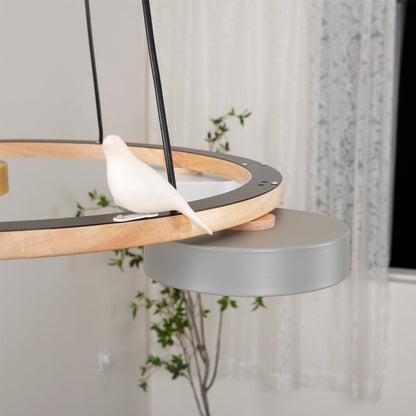 Beautiful Round Pendant LED Ceiling Light Fixture