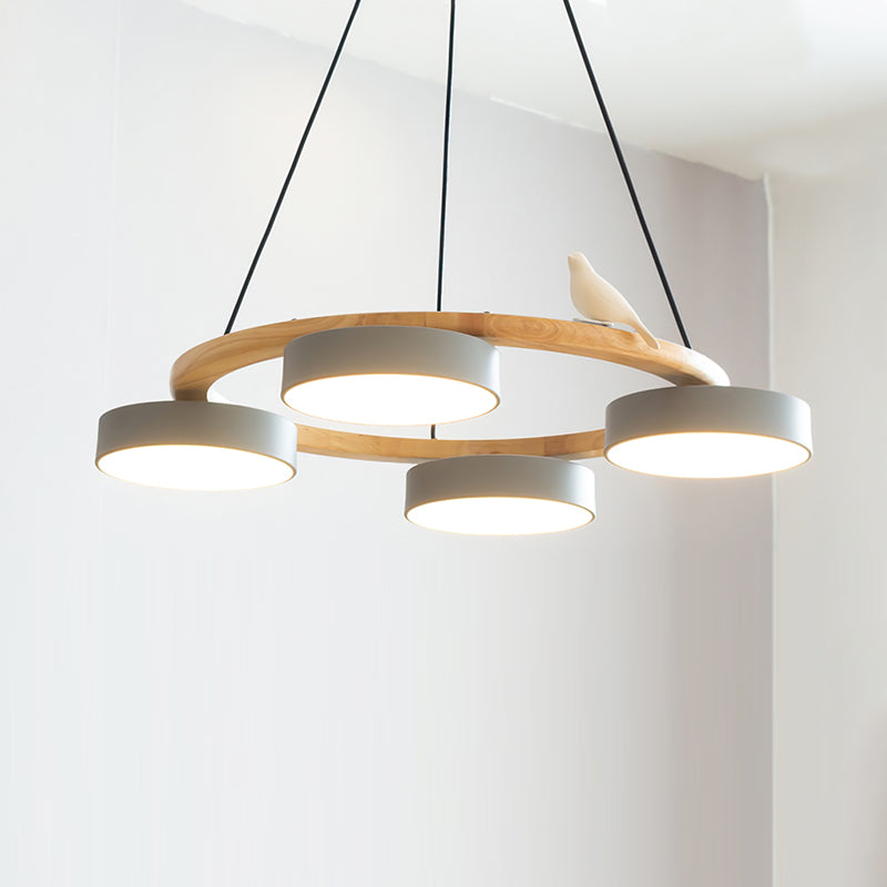 Beautiful Round Pendant LED Ceiling Light Fixture