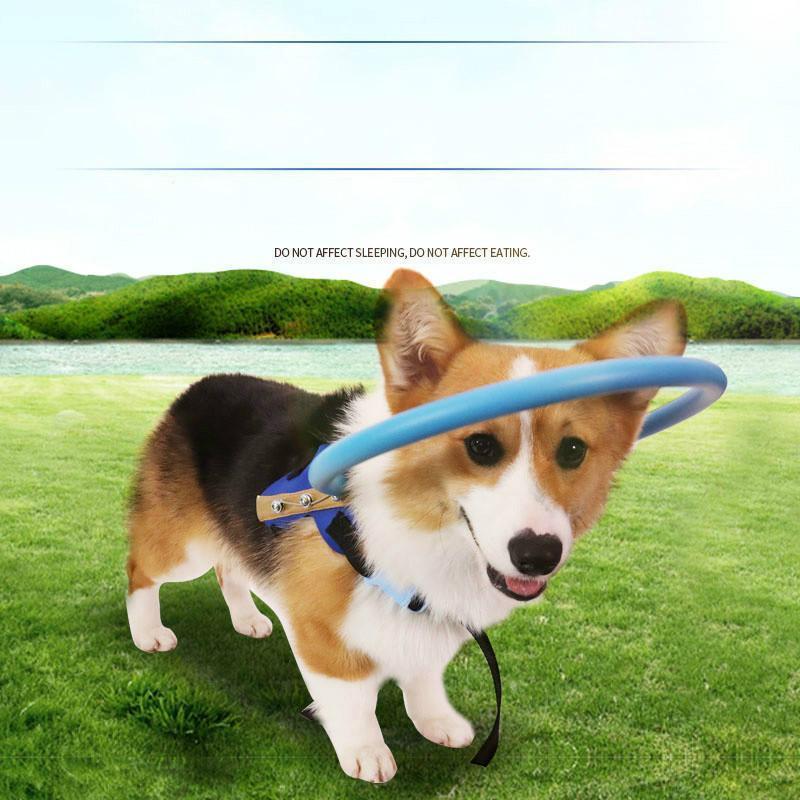 Comfortable Dog Support Vest for Blind Pets