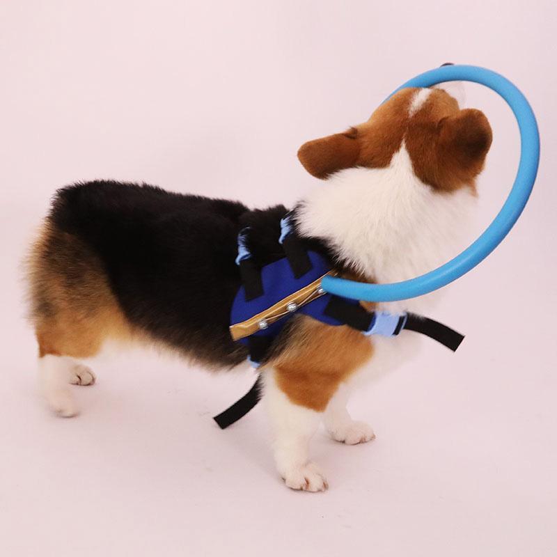 Comfortable Dog Support Vest for Blind Pets