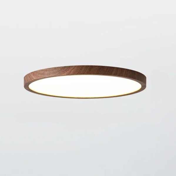 Stylish Round LED Ceiling Lamp Adjustable Brightness