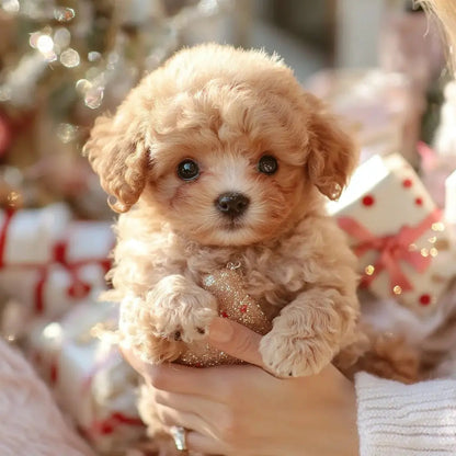 Fun Electronic Pet Dog Toy