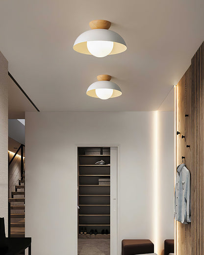 Sleek Hanging Light Fixture