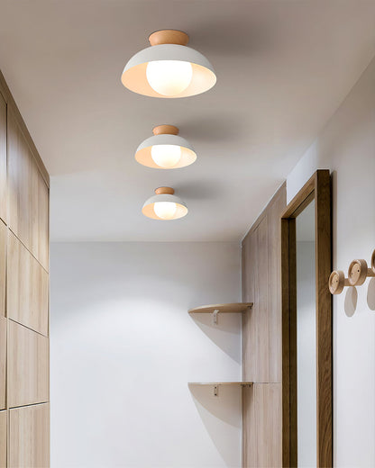 Sleek Hanging Light Fixture