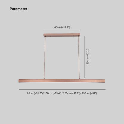 Simple Modern Adjustable LED Light Fixture