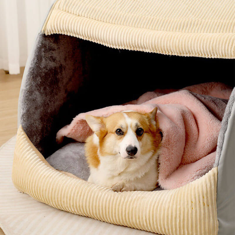 Soft Deluxe Orthopedic Dog Bed for Warm Comfort